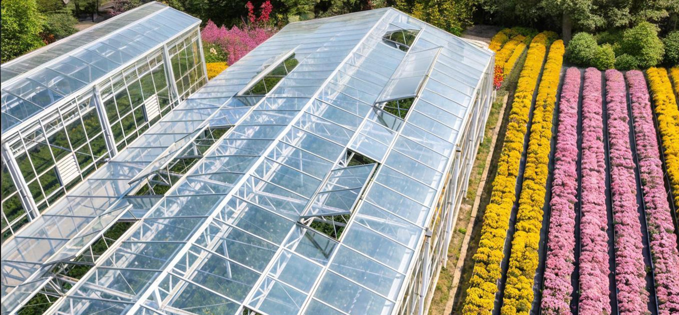 Summer Is Coming – Is Your Greenhouse Ready?