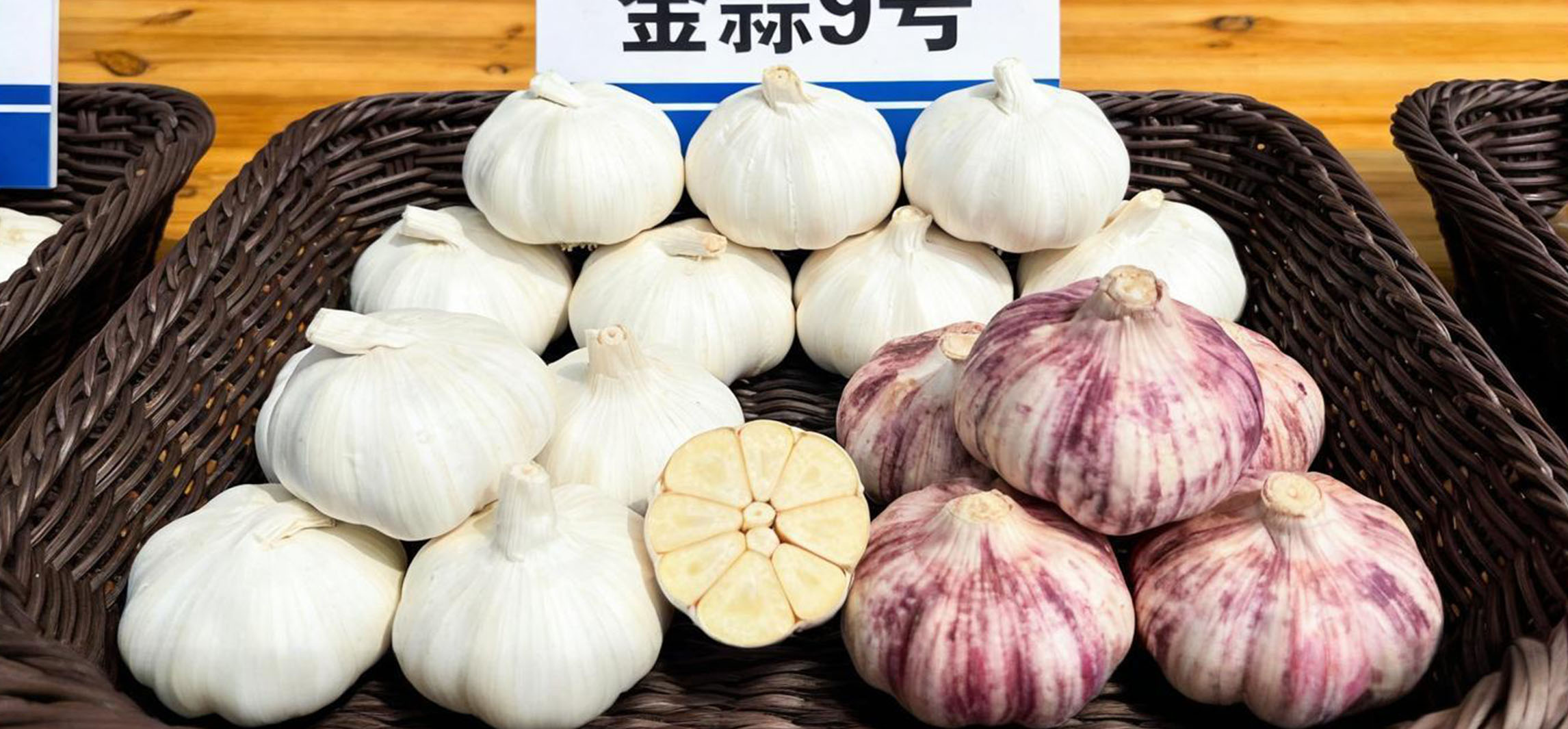 The 2nd Garlic Culture Festival and Garlic King Competition of Daming County Successfully Held
