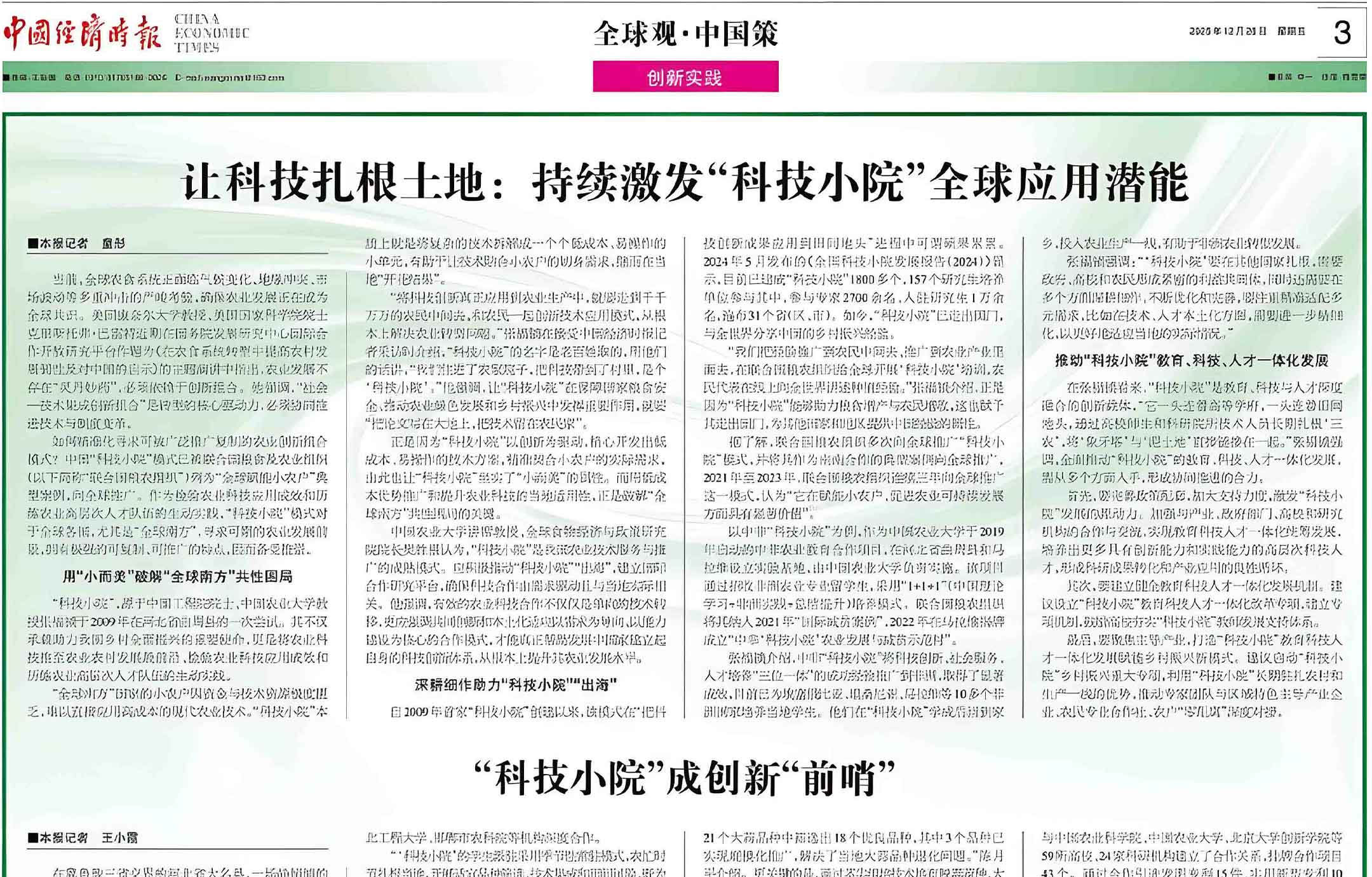 High Yields on River Beach Land: A Complete Guide to Simple and Efficient Potato Cultivation