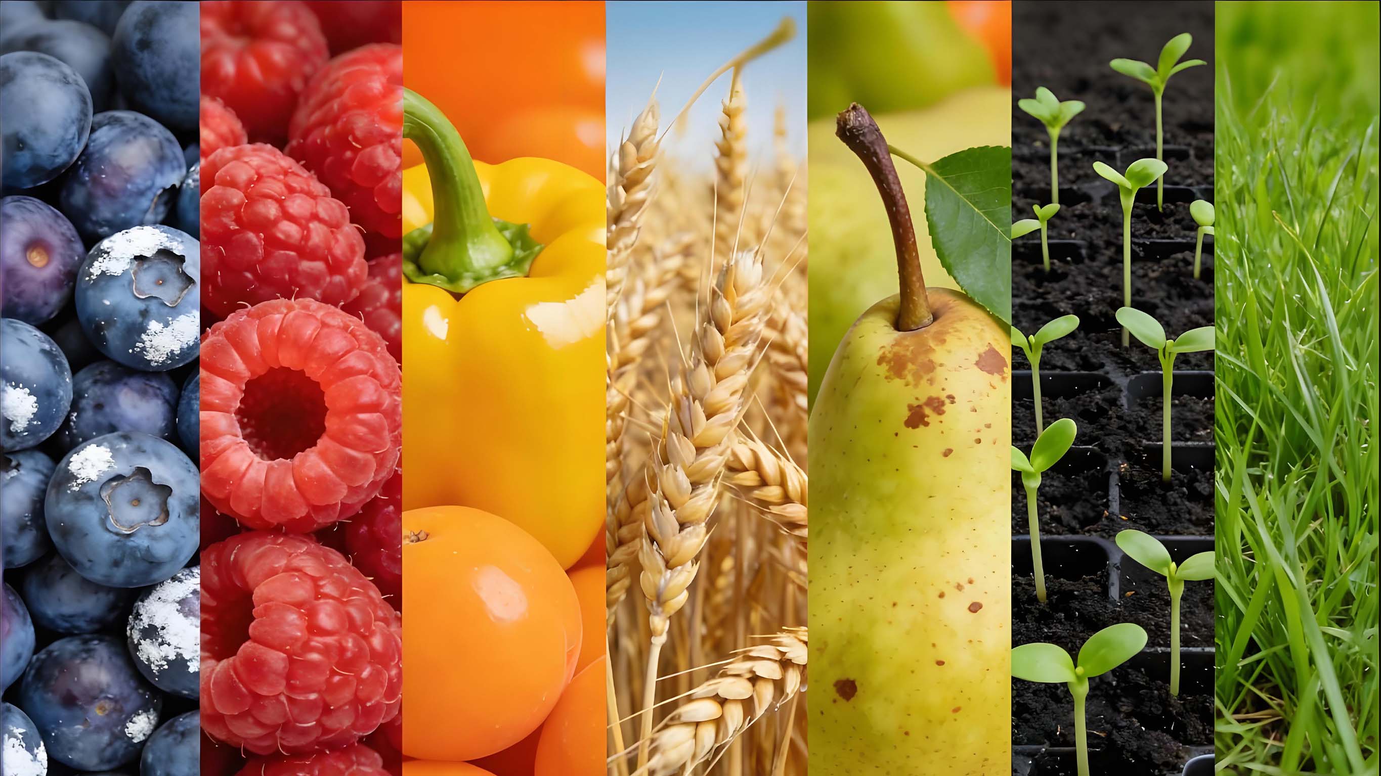Organic Nutrition Support, Unlock Diverse Harvests